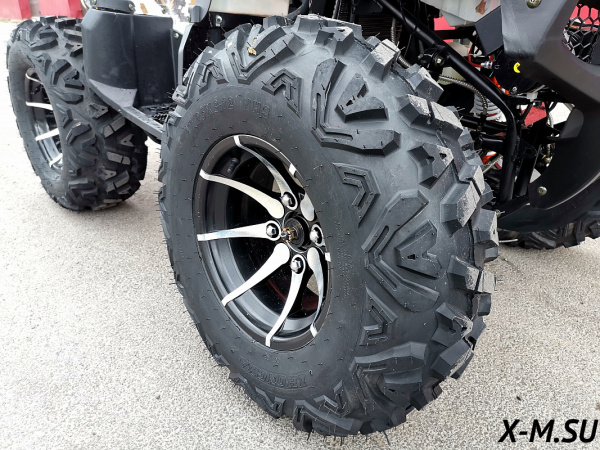 Квадроцикл Promax (Промакс) 320 DOMINATOR PRO (машинокомплект) | Мототека